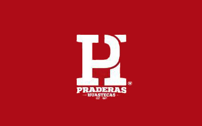Logo Item